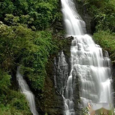 意想不到的旅程
